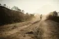 freerider7.png